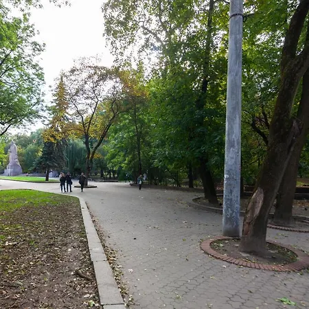 Avangard Park Art *